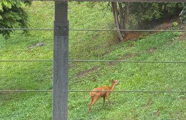 Apartment in Bodenseenähe - Foto 19