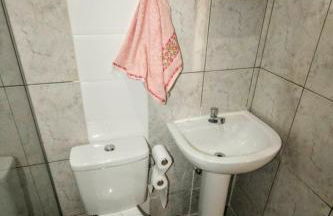 Capivara Urbana - Foto 5