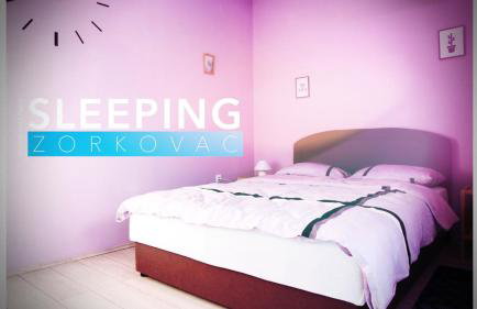 Studio apartman Zorkovac - Foto 9