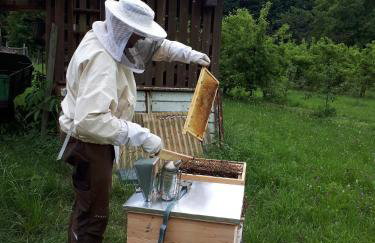 Ferienwohnung NatuRaum - Photo 16
