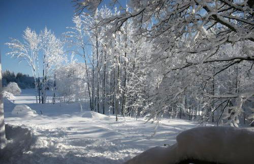 Gite Jeantiane Les Alpes Fleuries - Foto 25