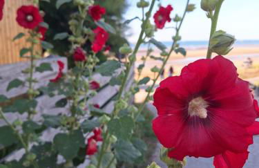Les heures tranquilles - Vue mer - 50m de la plage - Photo 9