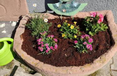 Ferienwohnung Zur Hofreite Fewo 5 - Foto 58