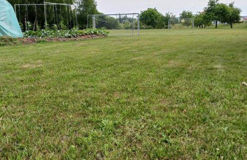 Agroturystyka Pod Dębem - Foto 41