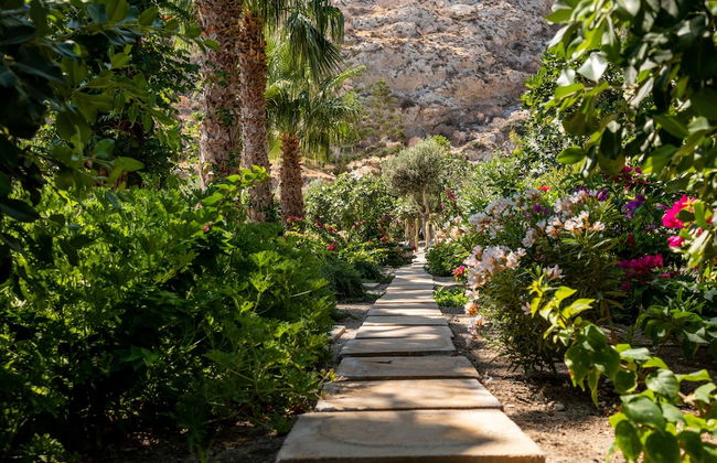 Santorini Mystique Garden - Photo 23