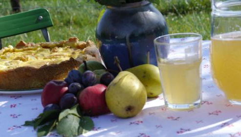 Biohof Unterstadl - Foto 4