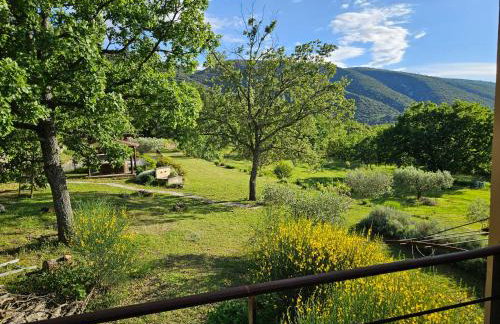 Vues imprenables, calme, nature, piscine - Foto 13