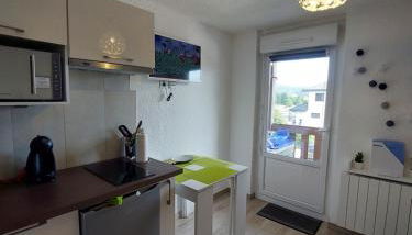 Studio rénové confort meublé 3 étoiles - Les Crêtets - Foto 2, stove, minibar