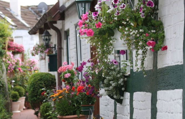 Rose Comfortable Holiday Residence - Foto 18