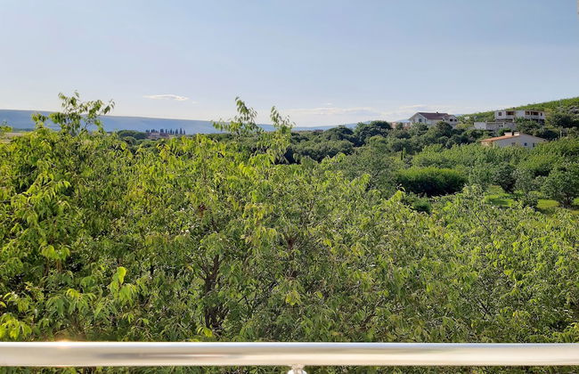 Villa Mimoza Blagaj - Photo 47