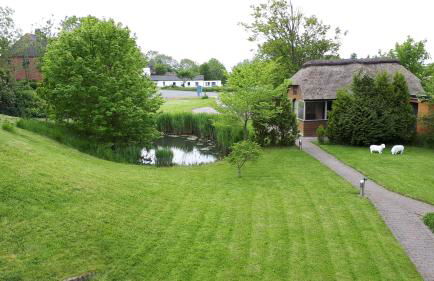 Ida's Hus Ferien unter Reet - Foto 19