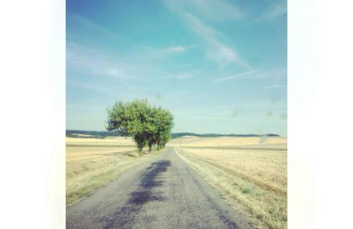 Le Gîte de Saint Phal - Photo 18