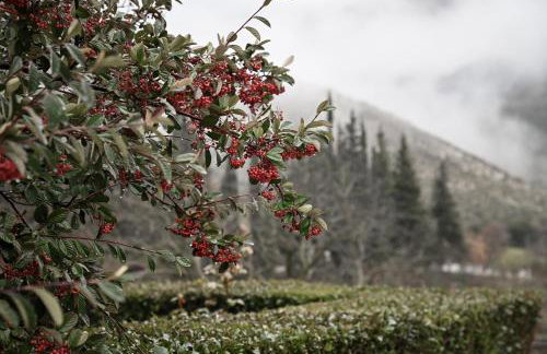 Petrina Theohari - Foto 29