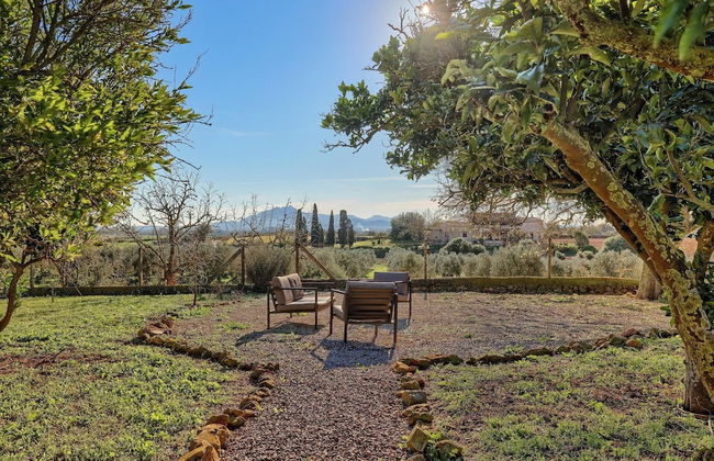 Finca Son Valls - Photo 40