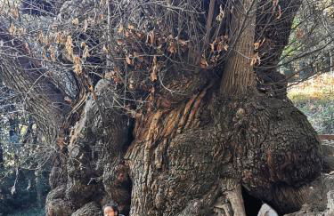 La LLar de la Kim, Bonita casa a 150m del mar y 40km de Barcelona - Foto 58