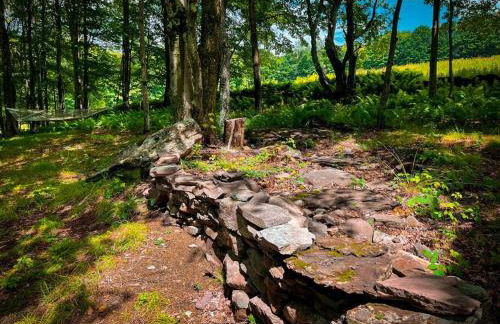 Mountain Brook Cabin - Foto 44