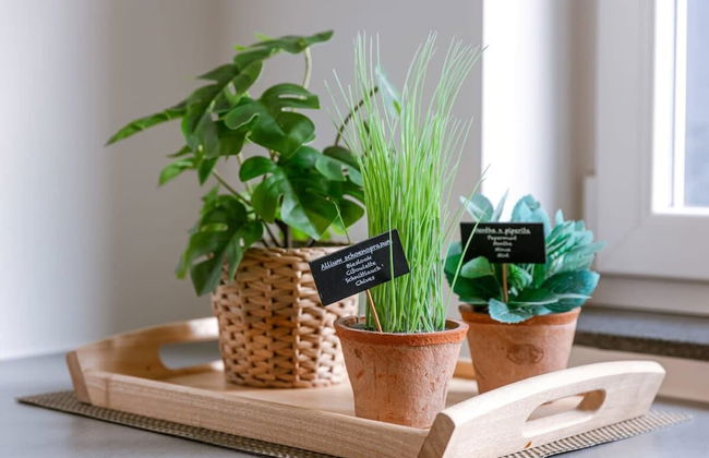 Pleasant Apartment Near the Center of Ghent - Foto 25