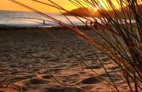 Portec la mer et le sentier côtier à pied - Foto 46