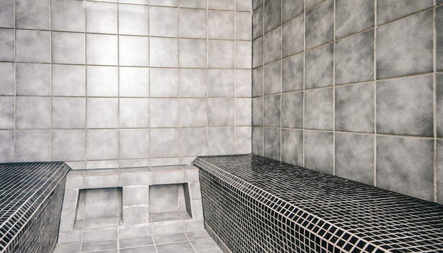 14 Person Holiday Home in Blavand - Foto 5, Sauna