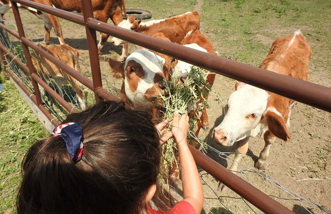 Visita a la estancia San Rafael - Foto 8
