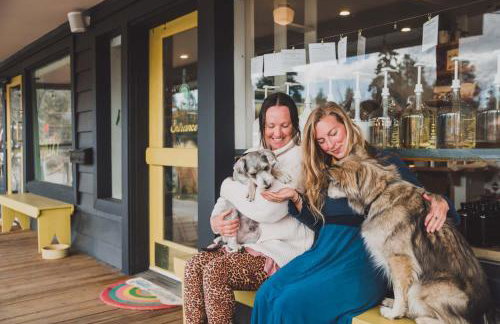 Walk to Everything Bikes AC Dog Friendly - Foto 2