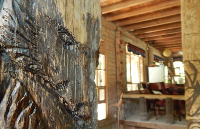 Dogs and Fish Dream Land - Foto 9