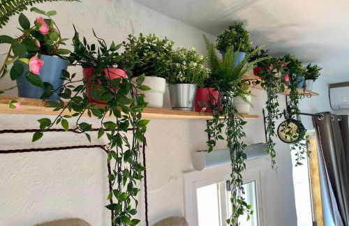 El Jardín de Lucas - Foto 28