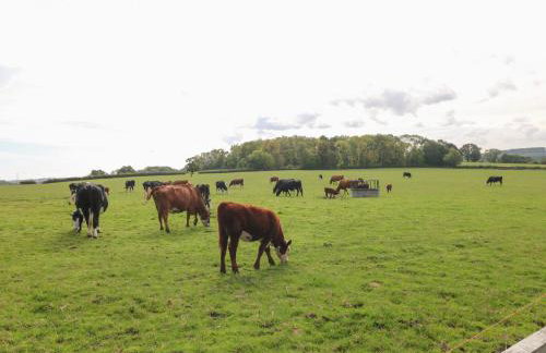 Far Coley Farm - Hereford Barn - Foto 24