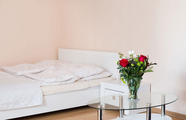 Aparthouse Apartamenty Sosnowiec - Photo 1