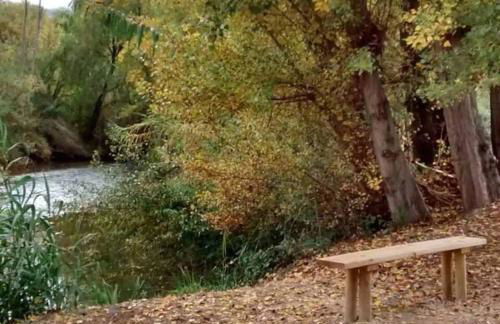 La Casa del Río, piscina natural a 5 min en coche - Foto 12