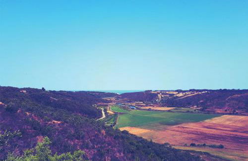 Agapito's Houses - Foto 41