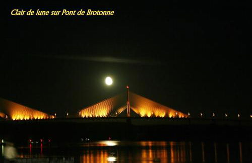 Les Hellebores - Foto 76