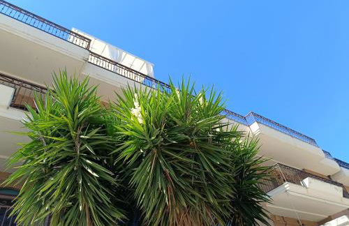 Beb dragonara - Foto 59