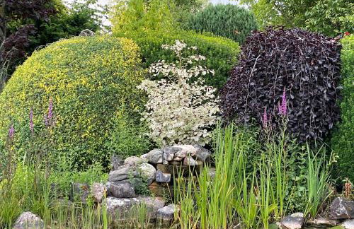 Haus Am Damm - Foto 28