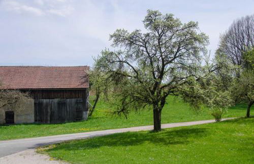 Ferienwohnung Kobelsberg - Foto 6