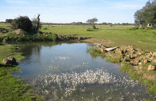 Casa do Vale da Terra Negra - Foto 36