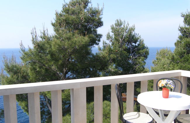 Plavac Mali - Photo 3