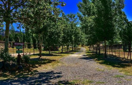 Quiet Cottage Rental for Two in Horse Country near Yosemite National Park Gateway, California - Foto 24