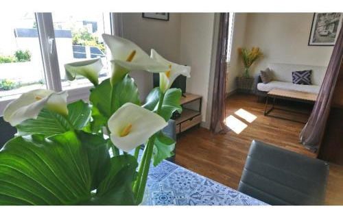 Maison familiale à 10 min du Mont Saint Michel - Foto 14