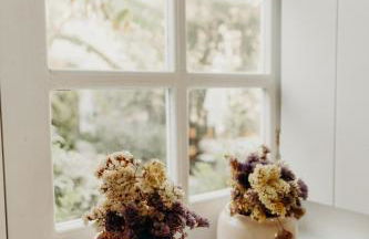 Casas das Piçarras - Alentejo - Foto 4