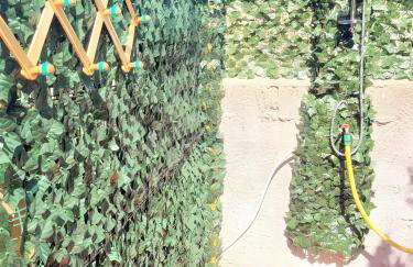 Maryel Sardinia con Giardino - Foto 12