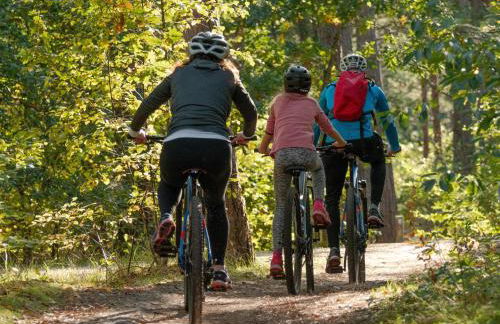Thüringer Wald-Zauber - Foto 28