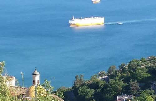 Ancient estate "Il Trignano" - Foto 4