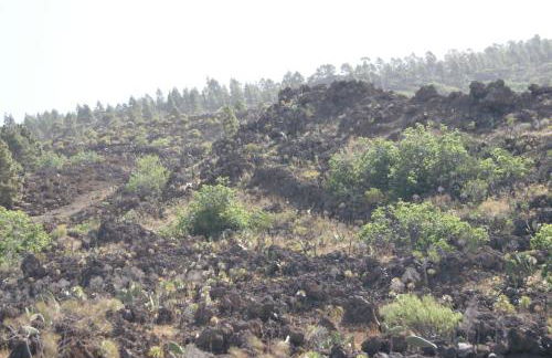La Puerta del Sol - Foto 63
