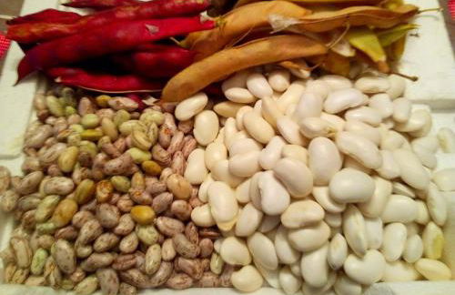 Casa o Furco - Foto 50