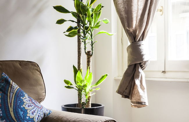 Hemeras Boutique House Aparthotel Duomo - Foto 17