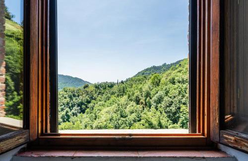 Fattoria di Pietrabuona - Foto 80