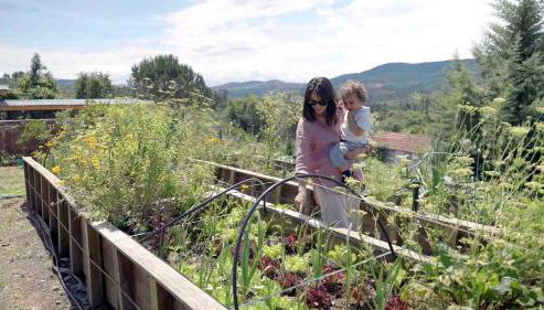 Natura Natura - Foto 5, Garden