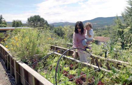 Natura Natura - Foto 5