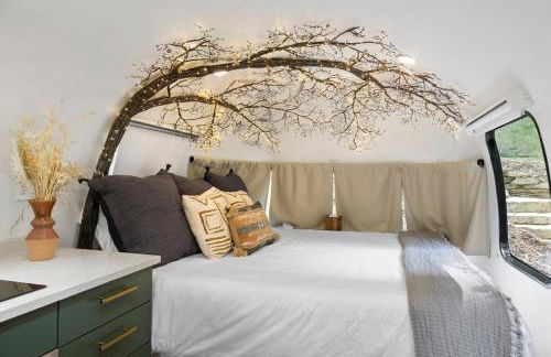 Airstream w Bathtub, River, & Hot Tub - Foto 7